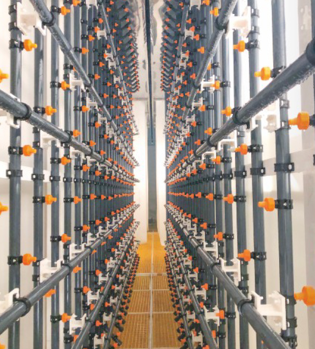 Sprinkler system